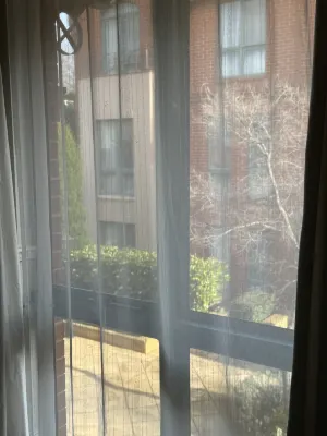 Majestic Old Lion Apartments Photos