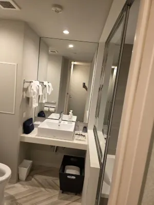 Daiwa Roynet Hotel Tokyo Kyobashi Premier الغرف Photos