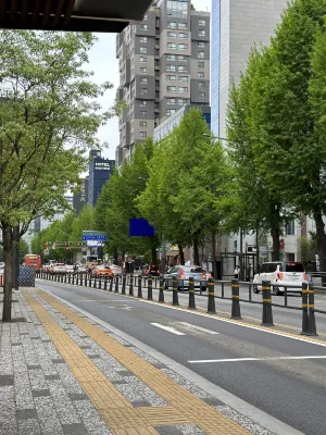 Hotel Crescendo Seoul À proximité de l'hôtel Photos