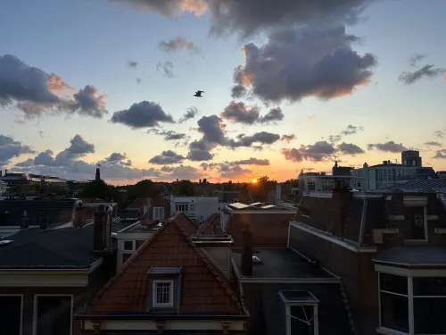 Hotel des Indes the Hague À proximité de l'hôtel Photos