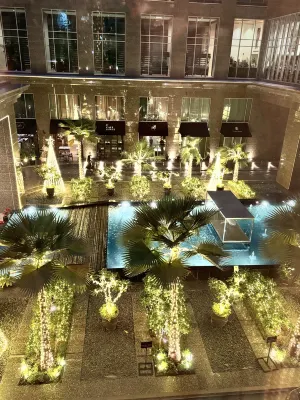 Ritz Carlton DIFC Downtown Dubai Общественные зоны Photos