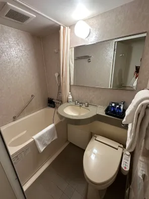 Hotel Lumiere Nishikasai Kamar Photos