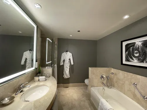 Sofitel Chicago Magnificent Mile Chambres Photos