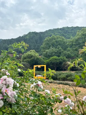 suzhouTianwangwu Homestay (Taihu Xishan Branch) Рядом с отелем Photos