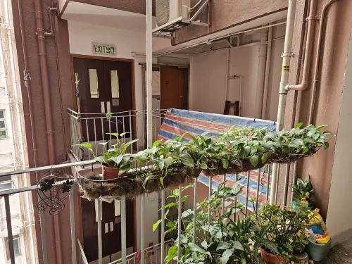 香港屋企旅舍 Photos