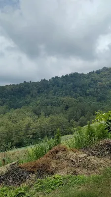 Glamping at Taman Wisata Alam Sevillage Puncak Dekat Hotel Photos