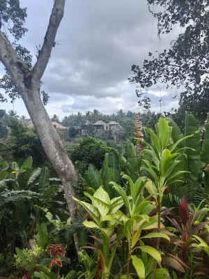 The Hidden Paradise Ubud À proximité de l'hôtel Photos