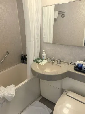 Hotel Lumiere Nishikasai Kamar Photos