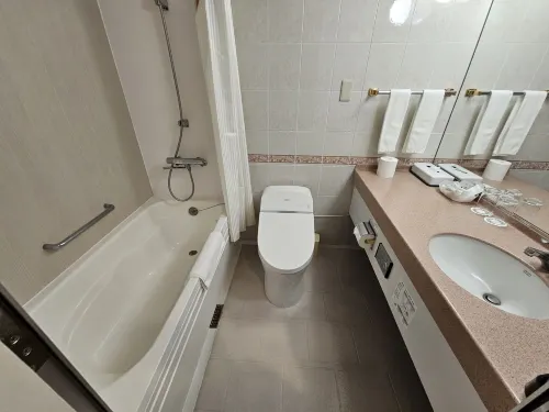 International Garden Hotel Narita Rooms Photos