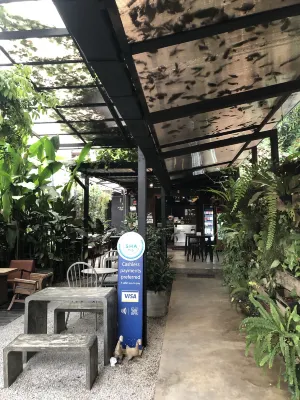 清邁戈德飯店 公共區域 Photos