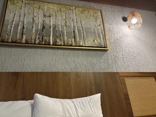Villa Siesta Hotel Istanbul Airport Chambres Photos