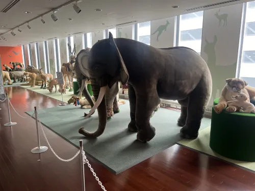 Chitose Airport Hotel Photos