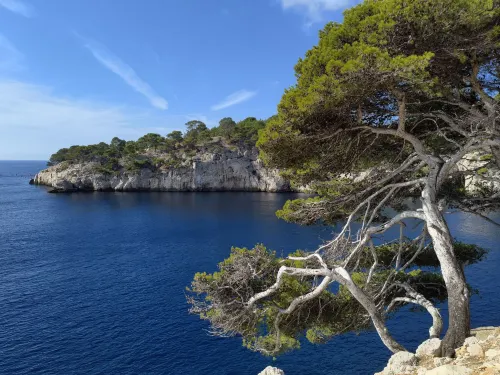 Les Jardins de Cassis - Parking Gratuit & Piscine Chauffée À proximité de l'hôtel Photos