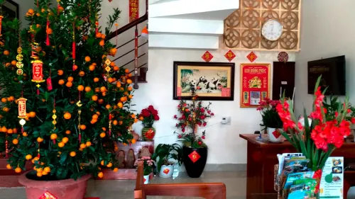 Panda Garden Homestay Photos