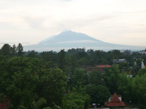 Ndalem Diajeng Homestay Dekat Hotel Photos