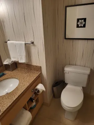 Hilton Los Angeles Airport Camere Photos