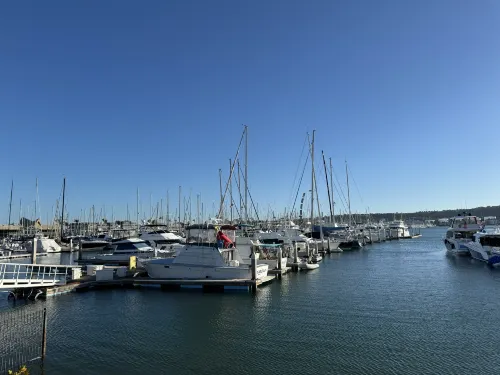 Best Western Plus Island Palms Hotel & Marina Near Hotel Photos
