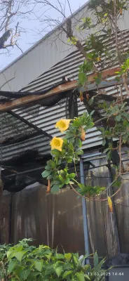 Prima House Pattaya Area Publik Photos