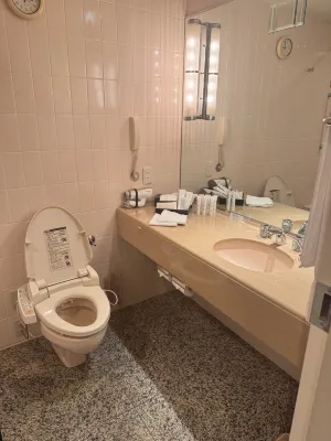 Hotel New Otani Osaka Camere Photos