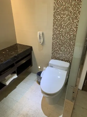 Century Hotel Taoyuan Kamar Photos