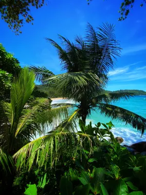 Sugar Palm Grand Hillside Espaces publics Photos