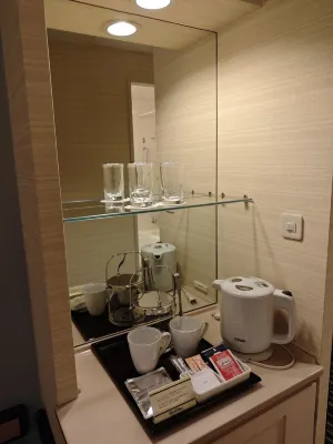 Hotel New Otani Osaka Camere Photos