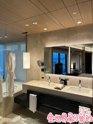 W Osaka Rooms Photos