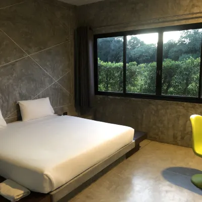The Oasis Resort Chambres Photos