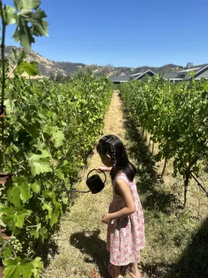 Four Seasons Resort Napa Valley Photos