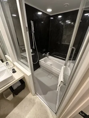 Daiwa Roynet Hotel Chiba-Chuo Kamar Photos