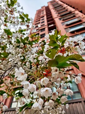 Aegean Sea Apartment (Qingdao Taidong Joy City) Photos