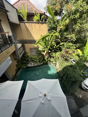 The Compass Rose Ubud Photos