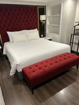 Flora Centre Hotel & Spa Kamar Photos