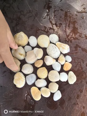 Gold Coast Phu Quoc Beach Resort Photos