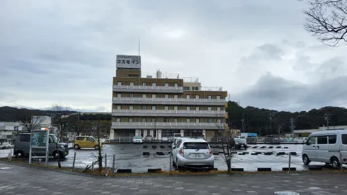 Business Hotel Cosmo Inn Aree comuni Photos