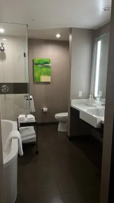 Vdara Hotel & Spa at ARIA Las Vegas Camere Photos