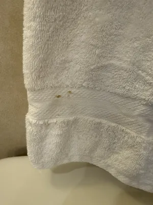 Hotel Grand Pacific Photos