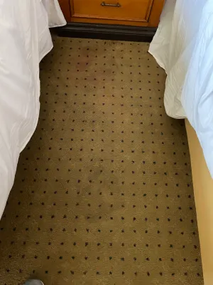 Showboat Hotel Atlantic City Rooms Photos