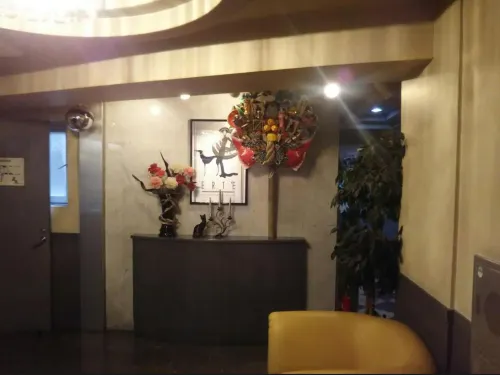 Hotel Sting Public Areas Photos