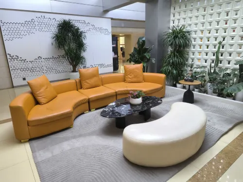 Capital Airport International Hotel Public Areas Photos
