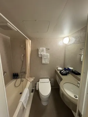 Hotel Lumiere Nishikasai Kamar Photos