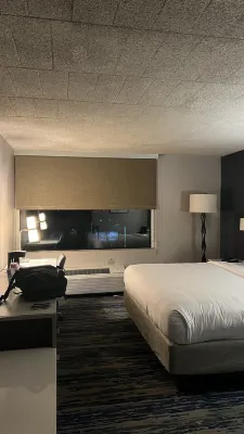 Skyline Hotel Detroit Airport, SureStay Collection by BW Rooms Photos