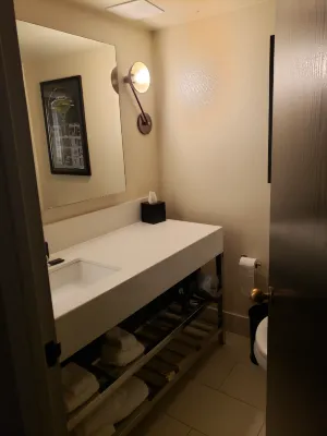 Renaissance St. Louis Airport Hotel Rooms Photos