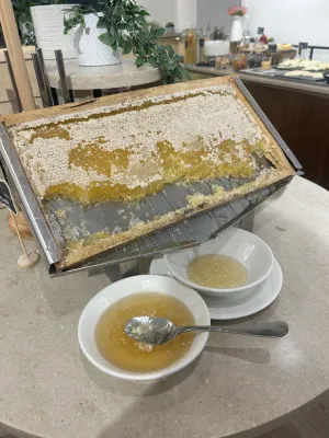 Hotel Bécquer Restauration Photos