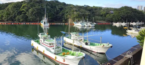 Hotel Luandon Shirahama À proximité de l'hôtel Photos
