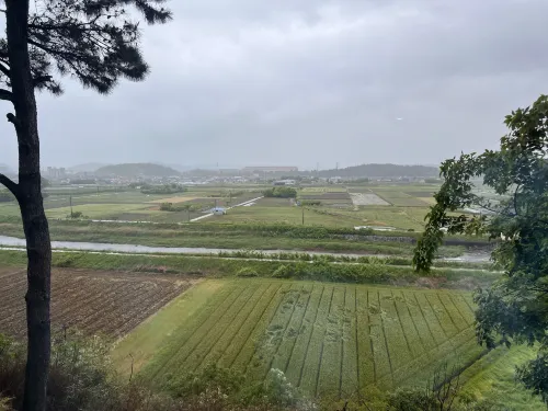 Sacheon Grand Tourist Hotel Circondario Photos