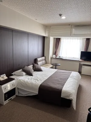 Hotel Plaza Osaka Chambres Photos