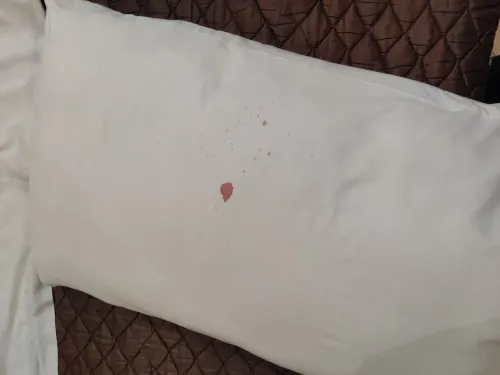 جراند سيناء Photos