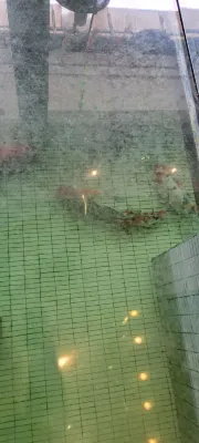 교토 부티크 호텔 공용공간 Photos