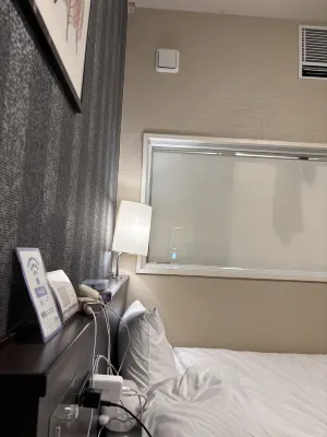 Shizutetsu Hotel Prezio Shizuoka-Ekikita Chambres Photos